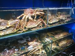 -蚝专家(北滘店)