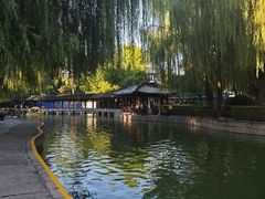 -团结湖公园