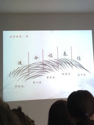 点击看大图 -逸丝风尚