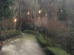 -宁海森林温泉