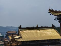 -正觉寺
