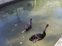 -南宫五洲植物乐园