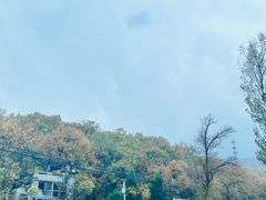 -潭柘寺景区