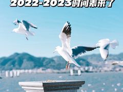-深圳湾公园(南山区)