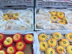 -双福水果批发市场