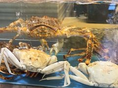 水产区-阳光码头海鲜火锅(世纪大道店)