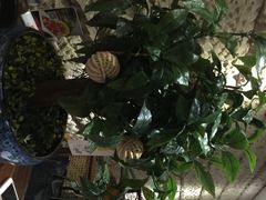 云来居素食馆(南山店)-云来居素食馆(南山店)