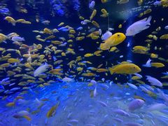 -成都浩海立方海洋公园