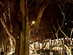 -柳莺湖上·湖景餐厅·江南菜(西湖店)