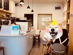 -白鹅咖啡(金城花园店)