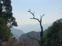 -北京上方山国家森林公园