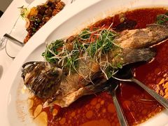 -伯衡55·吉品轩(乌鲁木齐南路店)