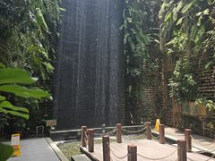 -棕榈泉国际高尔夫学院