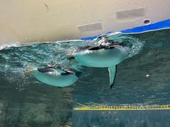 -成都浩海立方海洋公园