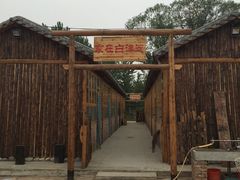 -白洋淀锅里口灶台鱼