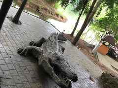 -清迈夜间动物园