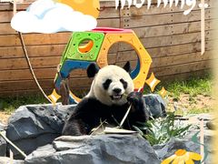 -秦皇岛野生动物园