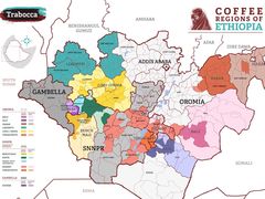 -北京大学五四田径场