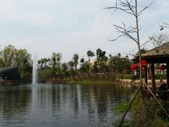 -成飞公园