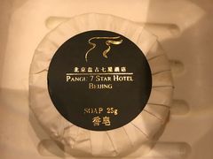 -北京盘古七星酒店