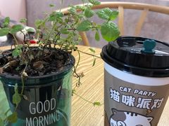 -猫咪派对(江南西店)
