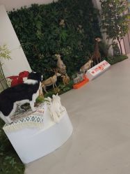 -IMON·HANSA潮玩玩偶毛绒玩具(通州万象汇店)