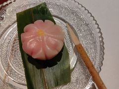 -觀芷隐轩