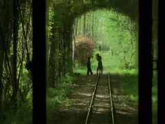 -合肥滨湖国家森林公园