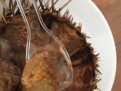 -海胆小馆(东北水饺·春柳店)