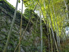 -东山风景区(洞庭东山)