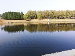 -羊亭河湿地公园