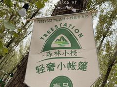 -森林小栈TreeStation露营基地