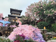 -茅山东方盐湖城景区