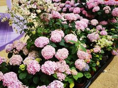 -上海静安大悦城