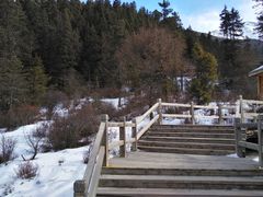 -黄龙山原始森林景区