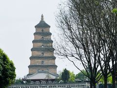 -大慈恩寺(大雁塔)