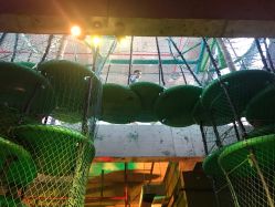 -恐龙探索乐园(磁器口店)