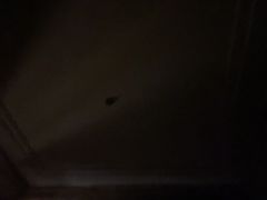 -上海闵行星河湾酒店