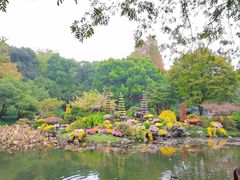 -杭州植物园