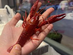 -五七小李子油焖大虾(总店)