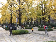 -百林公园-两江幸福广场