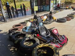 -合肥滨湖国家森林公园