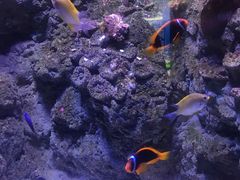 -成都浩海立方海洋公园