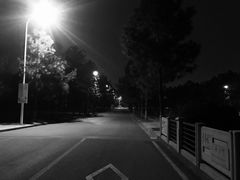 -同济大学(嘉定校区)