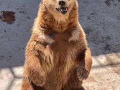 -哈尔滨北方森林动物园