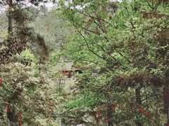 -梦姑塘文化公园