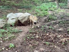 -西安秦岭野生动物园