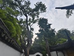 -上海醉白池公园