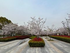 -上海山野camping·户外天幕烧烤·团建拓展营地