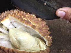 -新峰肉骨茶